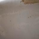 Antique Sevres Napoleon Porcelain Bust