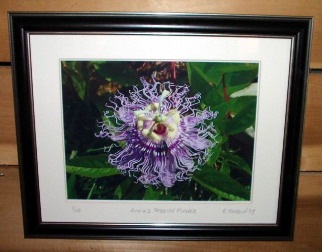 Purple Passion Flower Signed Limited Edition