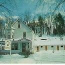 Vintage Postcard Cut Leaf Maples Modern Motel and Guest House Arlington, Vermont