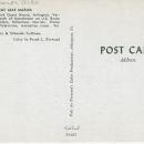 Vintage Postcard Cut Leaf Maples Modern Motel and Guest House Arlington, Vermont