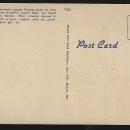 Ozark Mountain Stream Vintage Unused Postcard