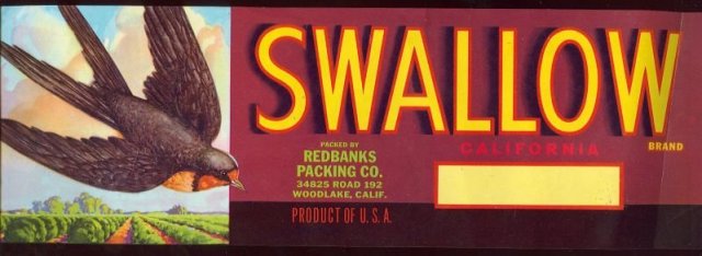 Swallow California Fruit Crate Label