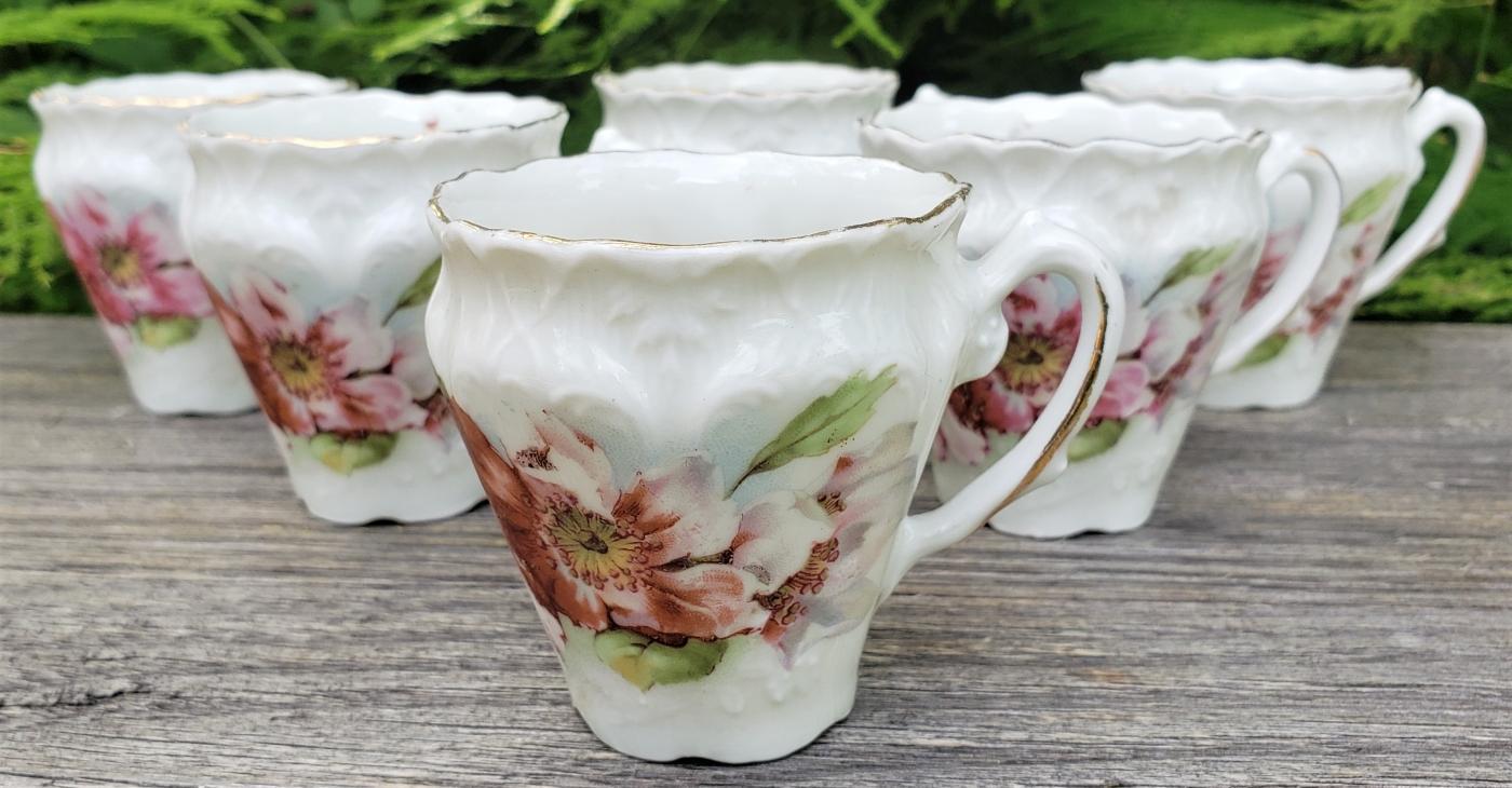 Antique German Porcelain Cup Set/6 Wild Roses Ca. 1900