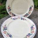 Vintage Shenango Restaurant Plate Set/4 Flowers/Blue Line 1970s-80s 9.5