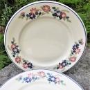 Vintage Shenango Restaurant Plate Set/4 Flowers/Blue Line 1970s-80s 9.5