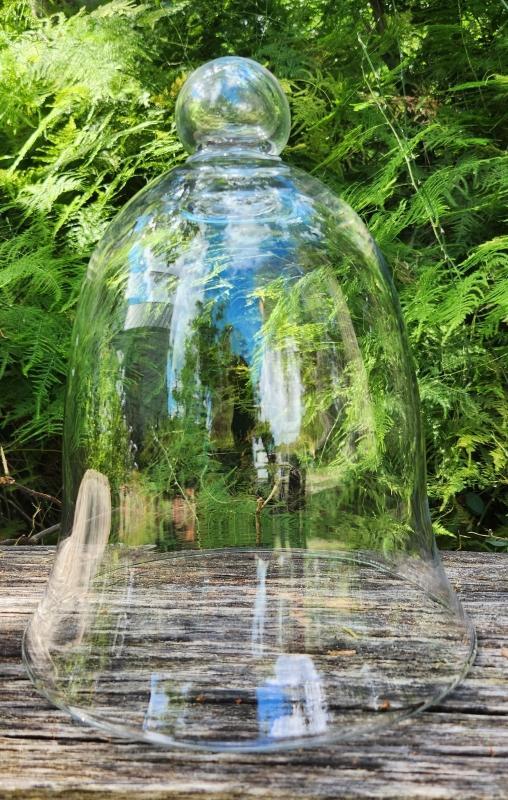 Antique/Vintage Bell Jar Cloche Dome 11