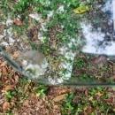 Vintage Italian Carved Wood Coffee Table w/Glass Top