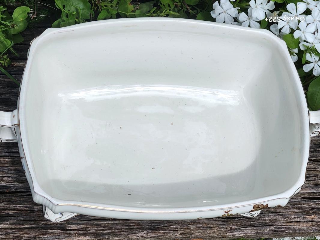 Antique Ridgways BUCKINGHAM Tureen w/Lid 1887