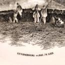 Antique Villeroy/Boch VIL11 Grand Duchy Luxembourg Plate 1874-1909