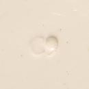 Antique Villeroy/Boch VIL11 Grand Duchy Luxembourg Plate 1874-1909