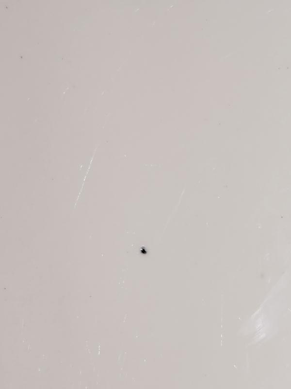 Vintage Mayer Green Stripe Platter Restaurant 17.5