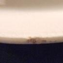 Antique Transferware Lid Gray-Blue Floral 8.75