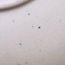 Antique HAWTHORN Brown Transfer Underplate British Anchor Pottery 1880s