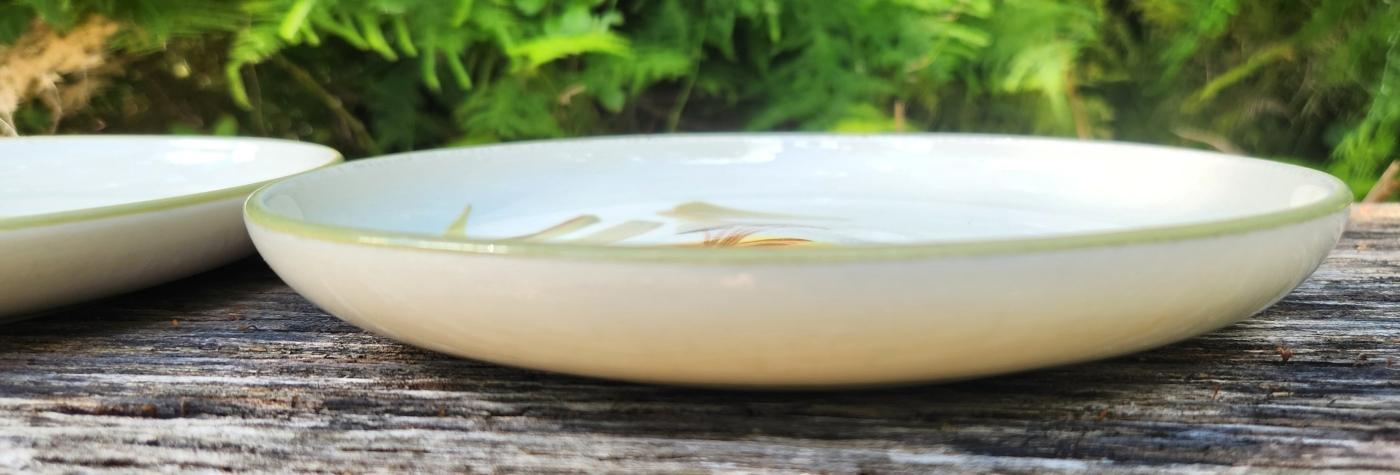 Vintage Winfield TIGER IRIS/LILY Plate Pair California MCM