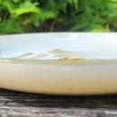 Vintage Winfield TIGER IRIS/LILY Plate Pair California MCM