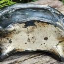 Antique Art Nouveau Jewelry Casket Silverplated Ca. 1900