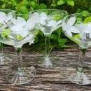 Vintage Hand-Painted WHITE DOGWOOD Champagne/Tall Sherbet Set/4 Federal