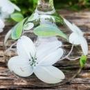 Vintage Hand-Painted WHITE DOGWOOD Champagne/Tall Sherbet Set/4 Federal