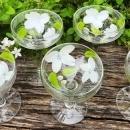 Vintage Hand-Painted WHITE DOGWOOD Champagne/Tall Sherbet Set/6 Federal