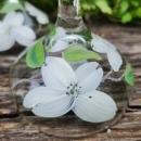 Vintage Hand-Painted WHITE DOGWOOD Champagne/Tall Sherbet Set/6 Federal