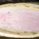 Vintage Beauce #493 Planter 1940s-50s Canada MCM