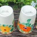 Vintage Czech #10487 Tumbler Set/4 HP Bold MC Floral 4