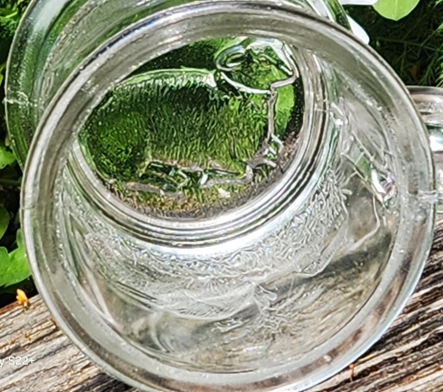 Antique Challinor/Taylor #353 Rabbit/Lamb Child's Mug EAPG 1884-91