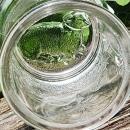 Antique Challinor/Taylor #353 Rabbit/Lamb Child's Mug EAPG 1884-91