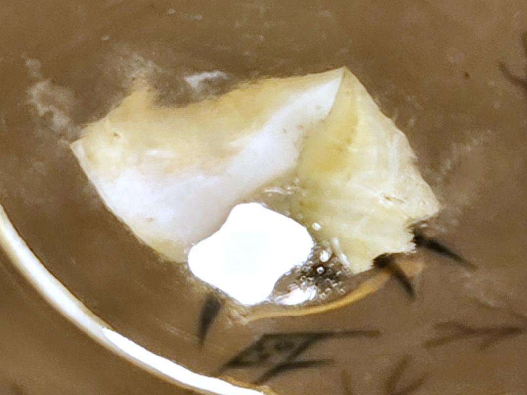 Vintage Mayer MYR76 Fish/Seaweed Restaurant Plate Set/4 1960s