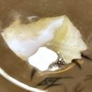 Vintage Mayer MYR76 Fish/Seaweed Restaurant Plate Set/4 1960s