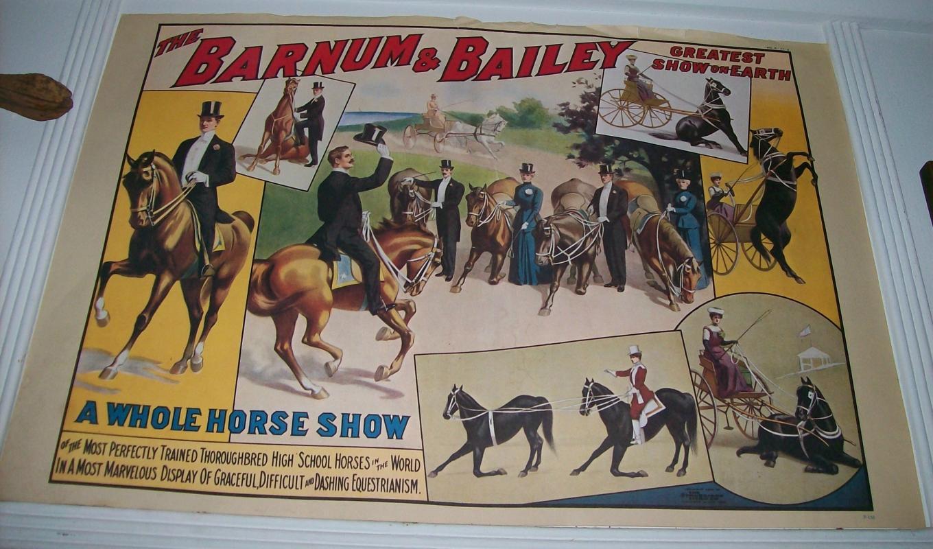 Circus Poster Reprints Barnum & Bailey Equestrian Horse Show