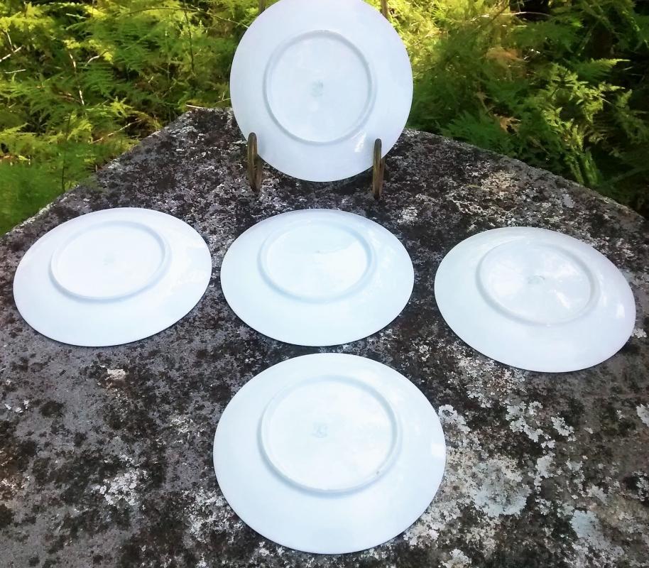 Vintage R.S. Silesia Plate Set/5 Dogwood & Pine Schlegelmilch Porcelain