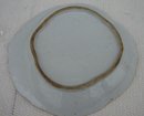 CIRCA 1850 CHIINESE EXPORT ROSE MEDALLION SHRIMP DISH 10 1/4