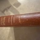 Flint Spears By Will James