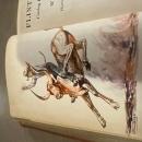 Flint Spears By Will James