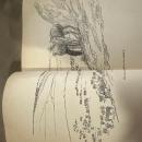 Flint Spears By Will James