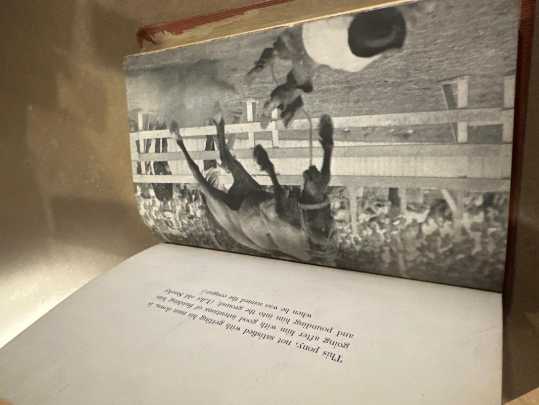 Flint Spears By Will James