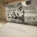 Flint Spears By Will James