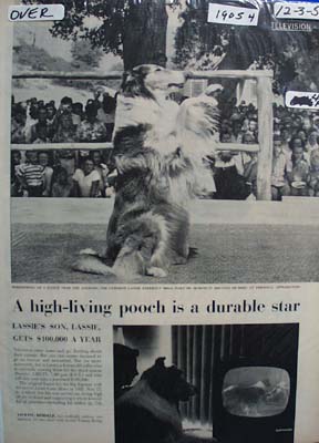 Lassie High Living Pooch Article 1956  