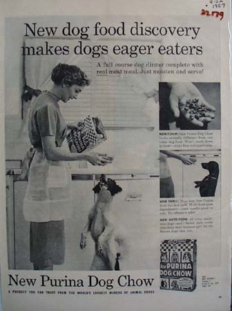 Purina Woman Feeding Dog Ad 1959