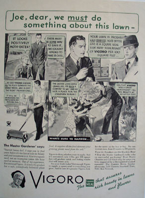 Vigoro Do Something About Lawn Ad 1934