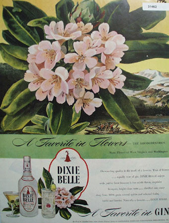 Dixie Bell Rhododendron 1946 Ad