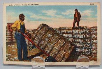 Bales of Cotton and workers Post Card.