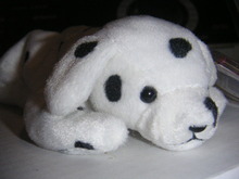 dotty beanie baby errors