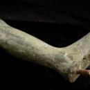 Antique nude Zeus statue -  - Vintage Mythology statue - architectural salvage - art deco statue - mt olympus statue