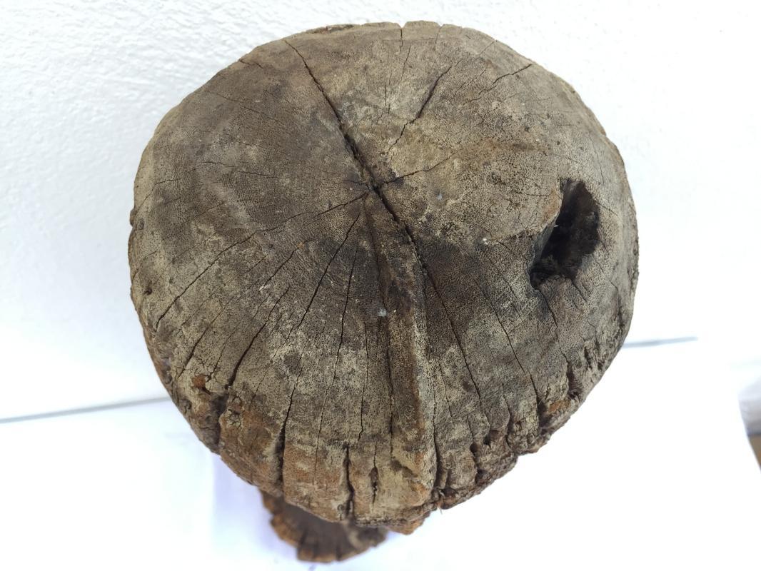 ERODED SENTANI 540mm PENIS Fertility Korwar Statue Oceanic Sculpture Artefact