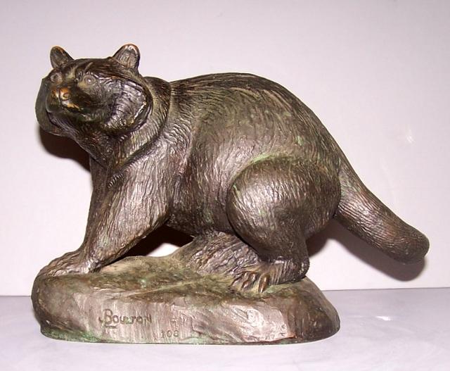 Bronze Raccoon