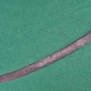 Antique 17th century Polish Hungarian Hussar Sword Saber