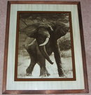 Vintage Dennis Curry Elephant Print on Glass