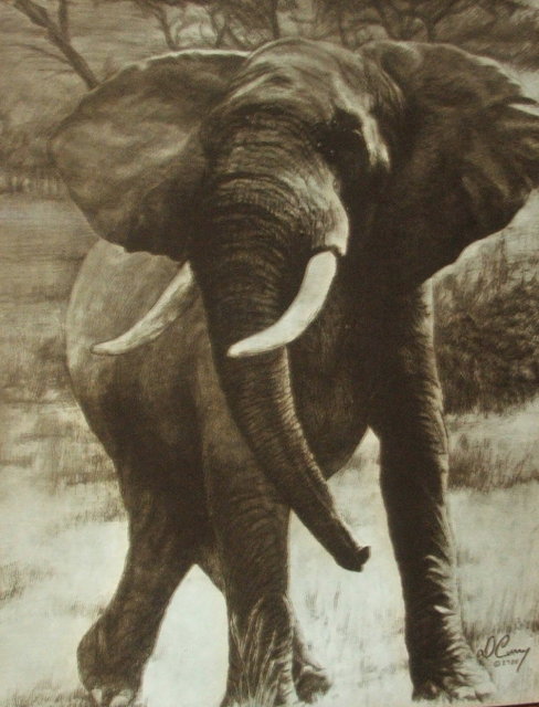 Vintage Dennis Curry Elephant Print on Glass
